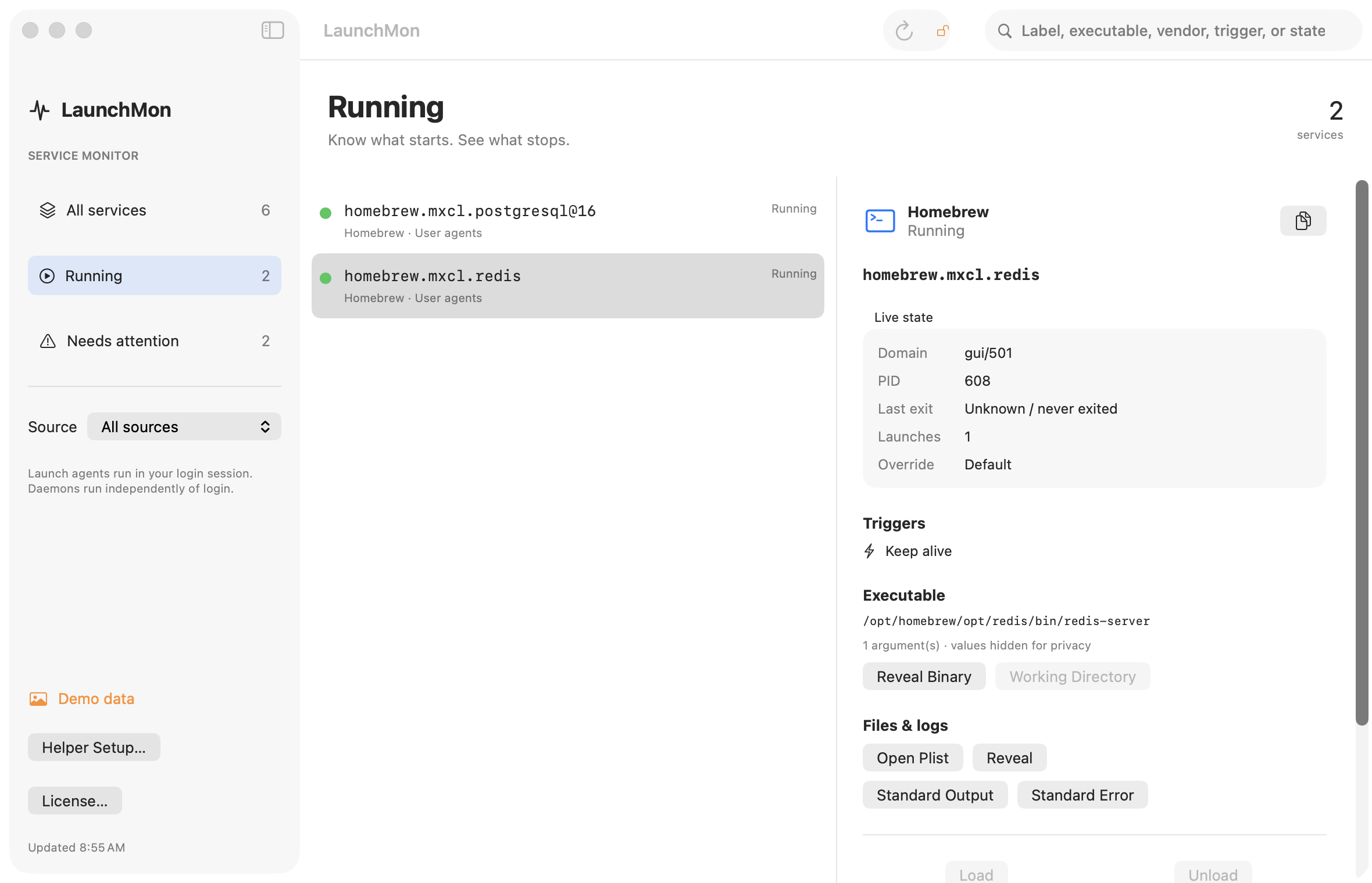 Redis runtime details and configured log shortcuts.